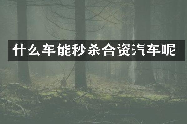 什么车能秒杀合资汽车呢