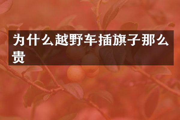 为什么越野车插旗子那么贵