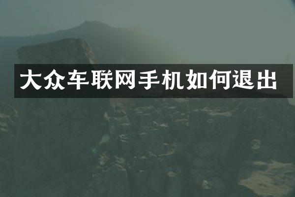 大众车联网手机如何退出