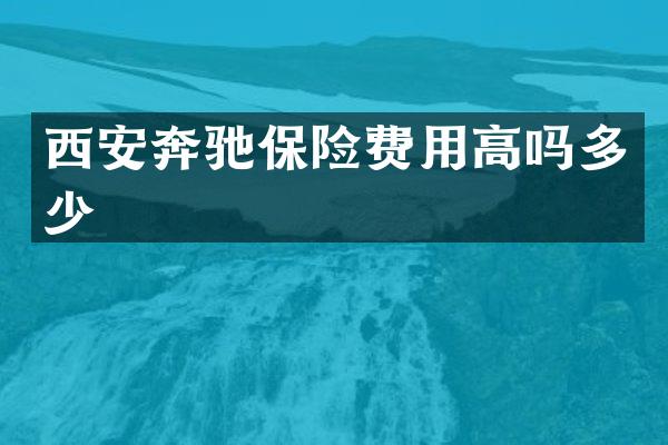 西安奔驰保险费用高吗多少