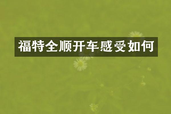 福特全顺开车感受如何
