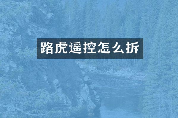路虎遥控怎么拆