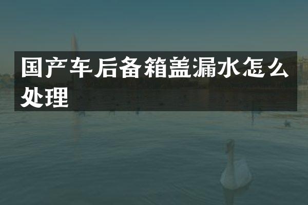 国产车后备箱盖漏水怎么处理