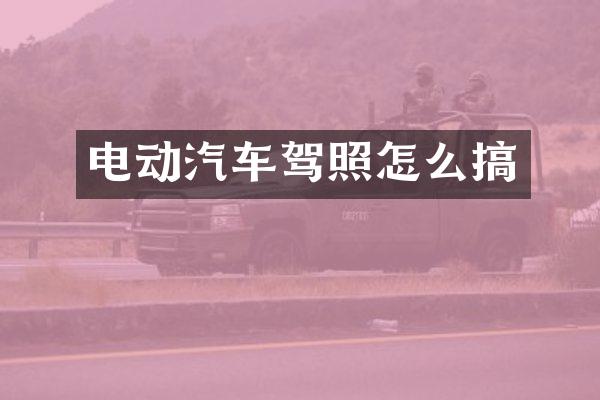 电动汽车驾照怎么搞