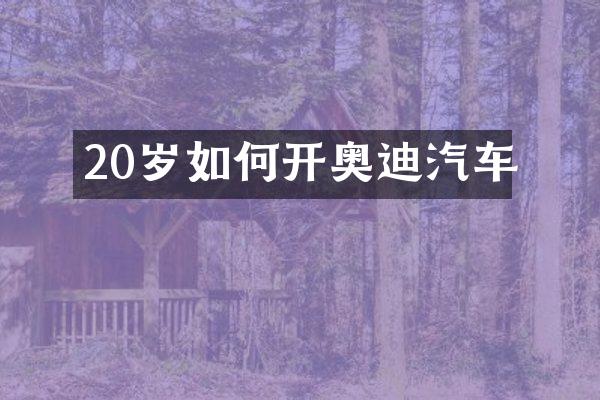 20岁如何开奥迪汽车