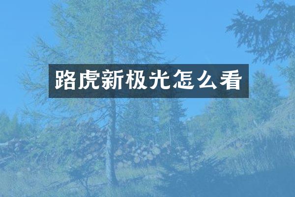 路虎新极光怎么看