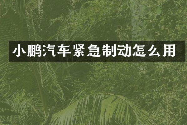 小鹏汽车紧急制动怎么用