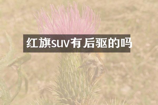 红旗suv有后驱的吗