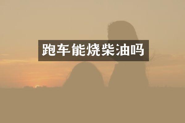 跑车能烧柴油吗