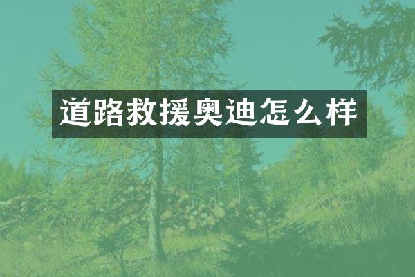 道路救援奥迪怎么样