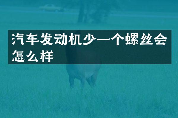 汽车发动机少一个螺丝会怎么样