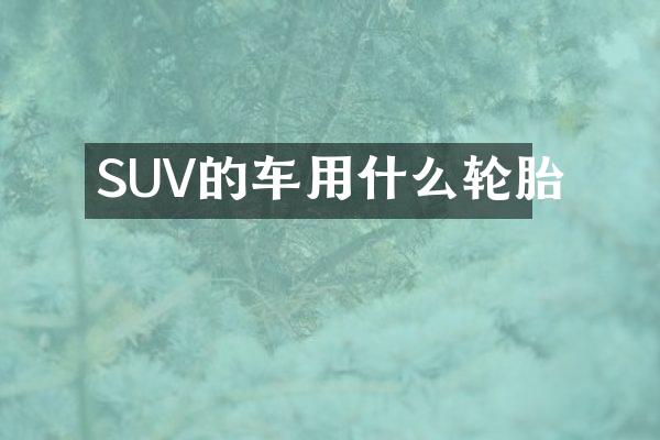 SUV的车用什么轮胎