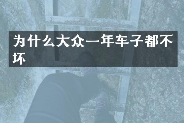 为什么大众一年车子都不坏