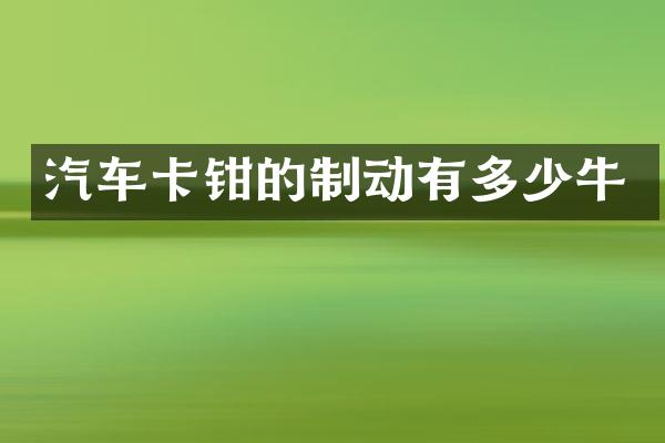 汽车卡钳的制动有多少牛