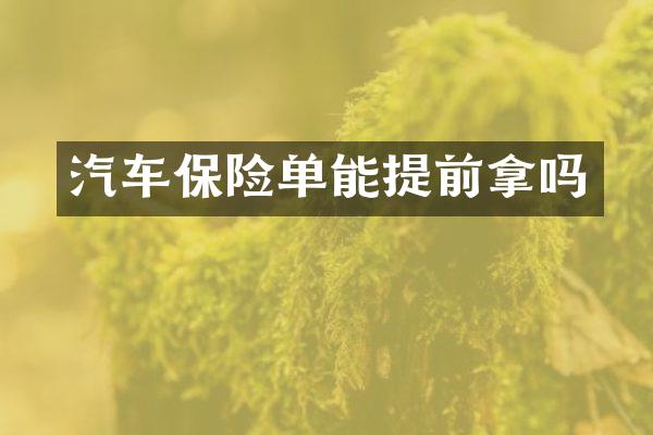 汽车保险单能提前拿吗
