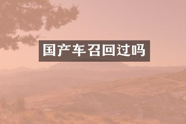 国产车召回过吗