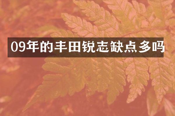 09年的丰田锐志缺点多吗