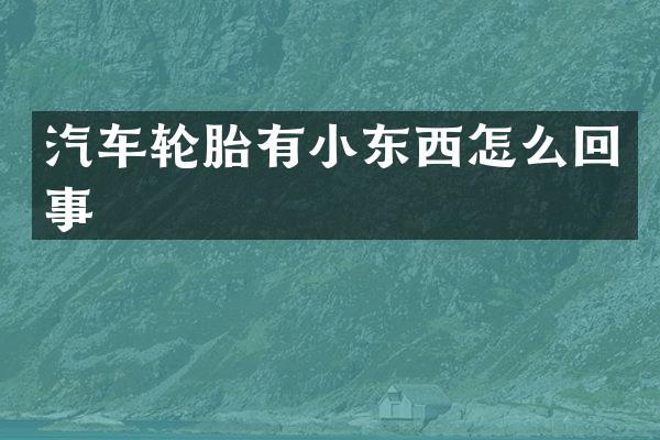 汽车轮胎有小东西怎么回事