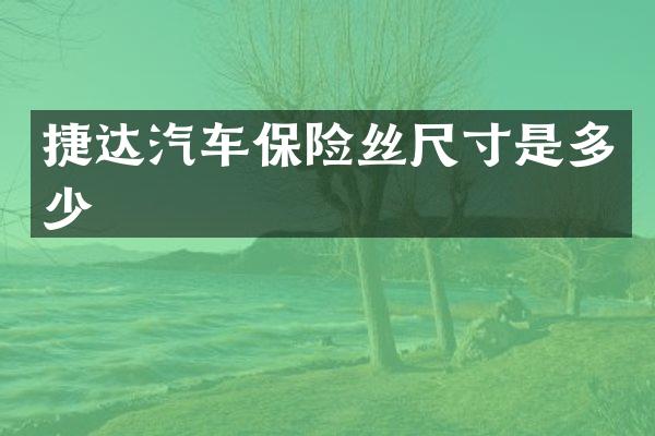 捷达汽车保险丝尺寸是多少