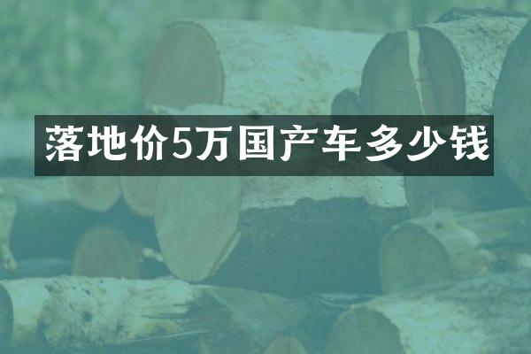 落地价5万国产车多少钱
