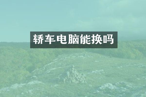 轿车电脑能换吗