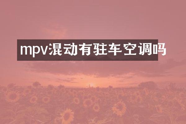 mpv混动有驻车空调吗