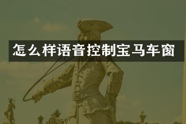 怎么样语音控制宝马车窗