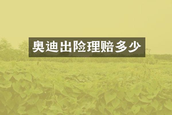奥迪出险理赔多少