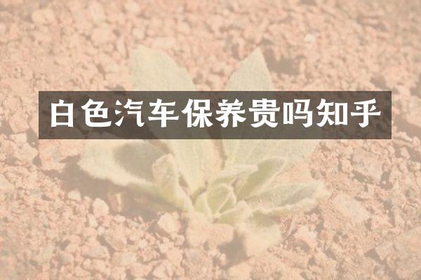 白色汽车保养贵吗知乎