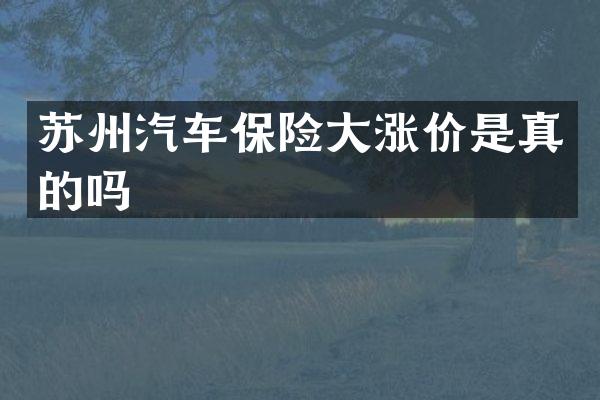 苏州汽车保险大涨价是真的吗