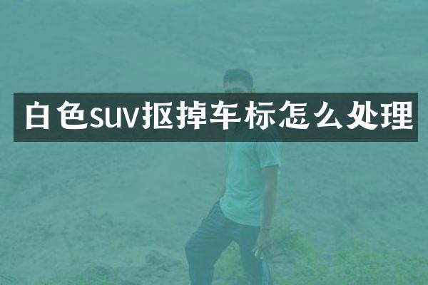白色suv抠掉车标怎么处理