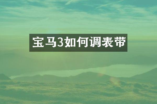宝马3如何调表带