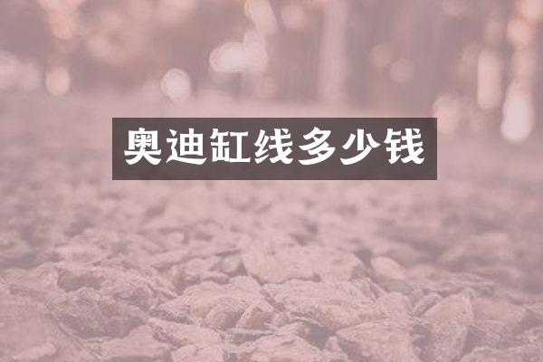 奥迪缸线多少钱