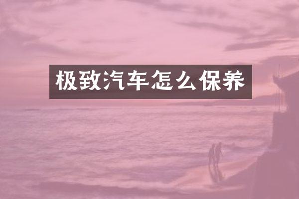 极致汽车怎么保养