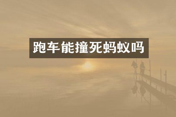 跑车能撞死蚂蚁吗