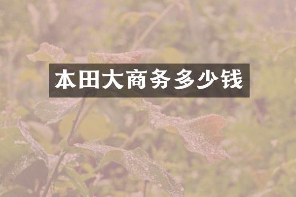 本田大商务多少钱