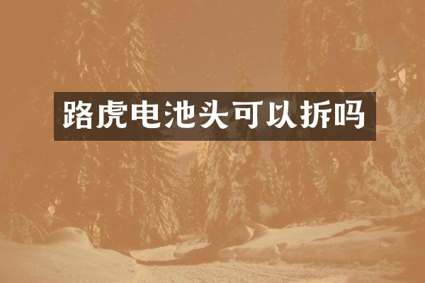 路虎电池头可以拆吗
