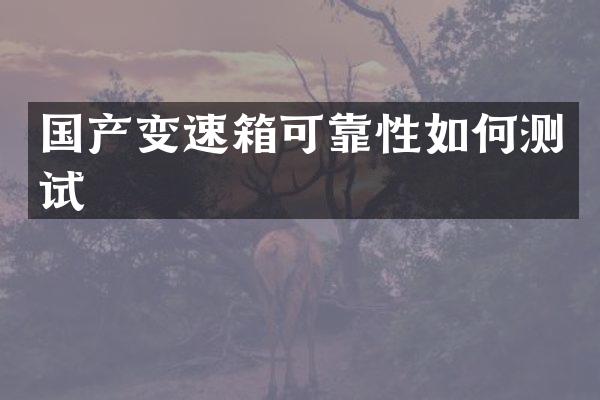 国产变速箱可靠性如何测试