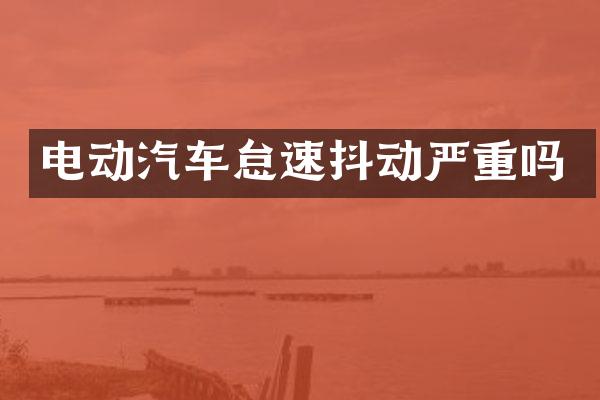 电动汽车怠速抖动严重吗