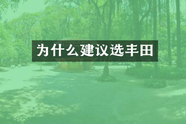 为什么建议选丰田