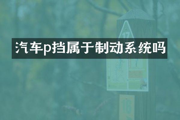 汽车p挡属于制动系统吗