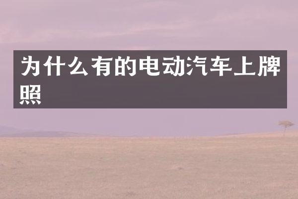 为什么有的电动汽车上牌照