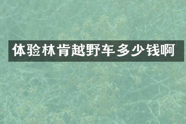 体验林肯越野车多少钱啊