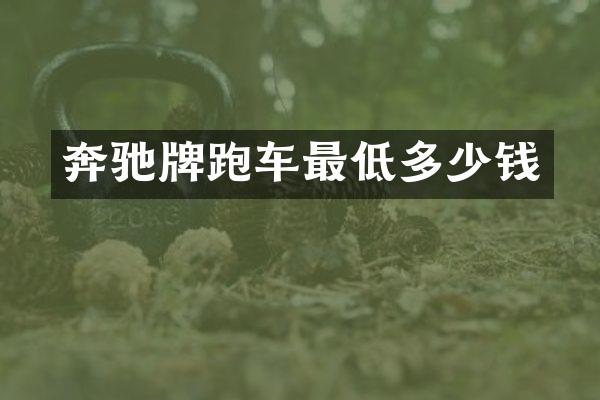 奔驰牌跑车最低多少钱