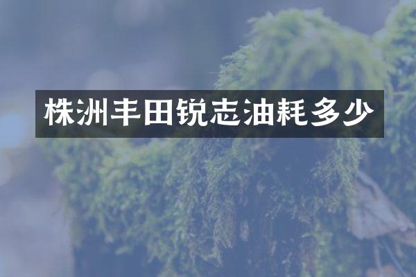 株洲丰田锐志油耗多少