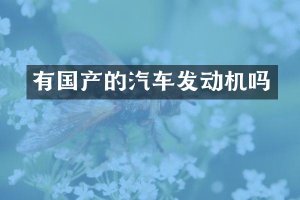 有国产的汽车发动机吗