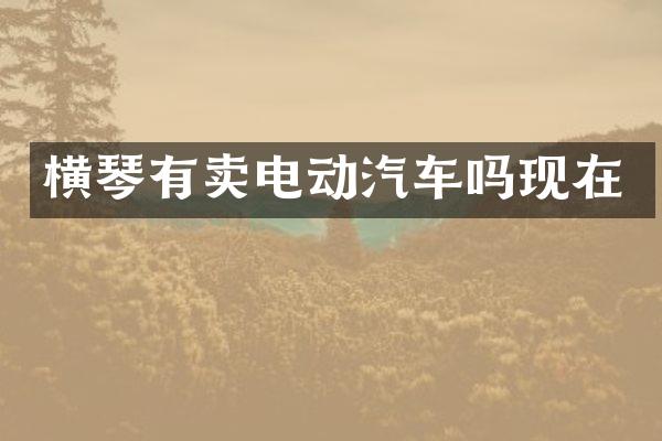 横琴有卖电动汽车吗现在