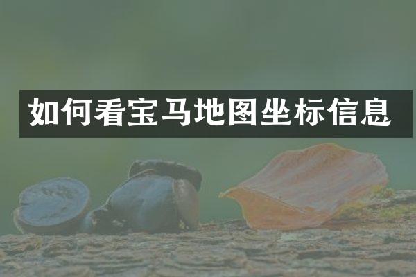 如何看宝马地图坐标信息