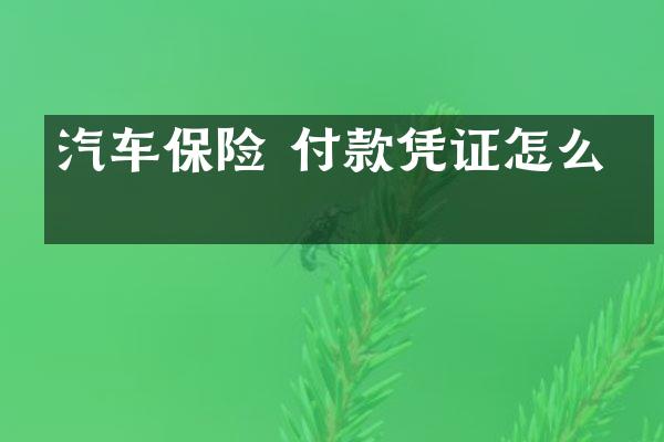 汽车保险 付款凭证怎么写