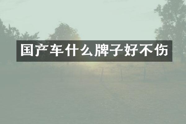 国产车什么牌子好不伤